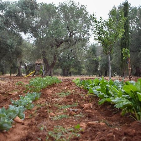 فيلا Trulli Monte Madre سان فيتو دي نورماني المظهر الخارجي الصورة