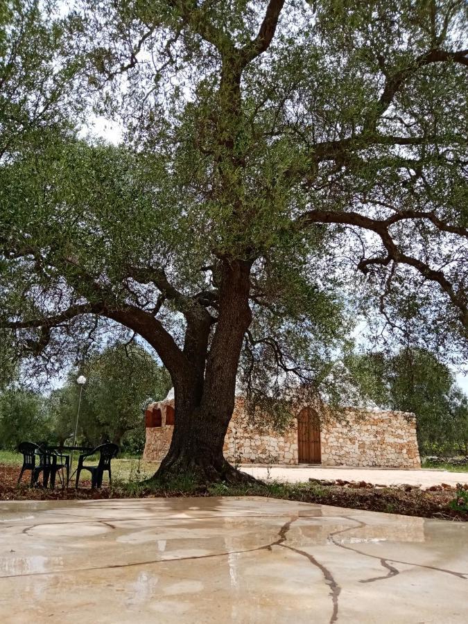 فيلا سان فيتو دي نورمانيفي Trulli Monte Madre المظهر الخارجي الصورة