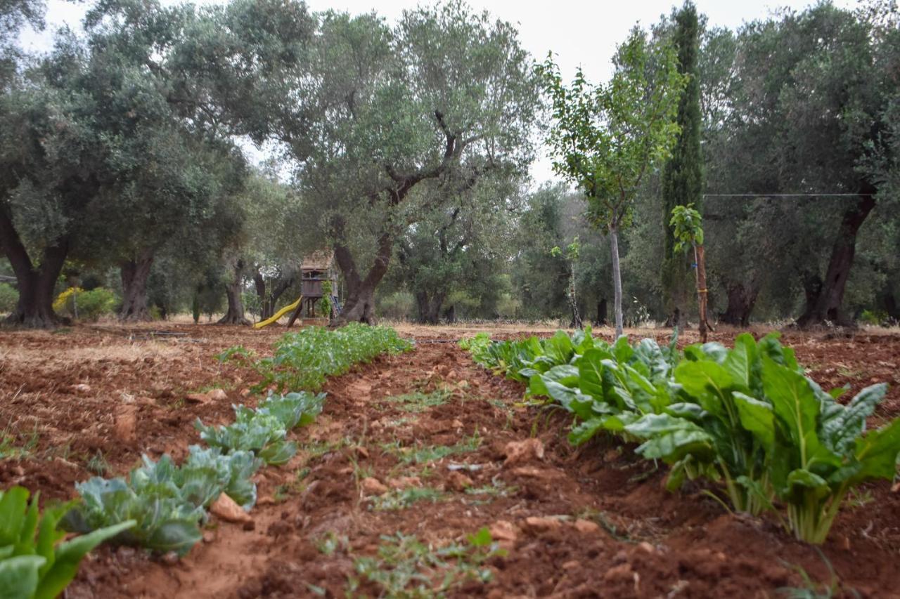 فيلا سان فيتو دي نورمانيفي Trulli Monte Madre المظهر الخارجي الصورة