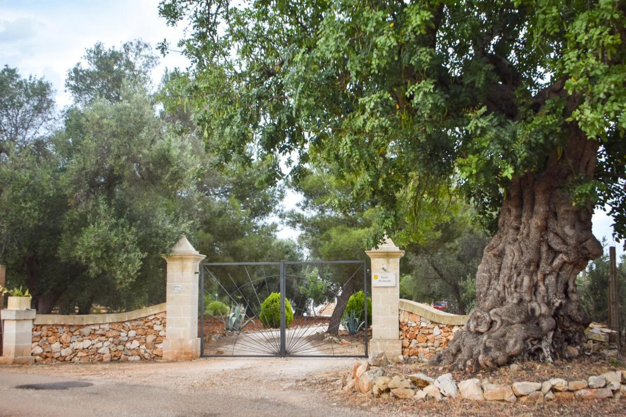 فيلا سان فيتو دي نورمانيفي Trulli Monte Madre المظهر الخارجي الصورة