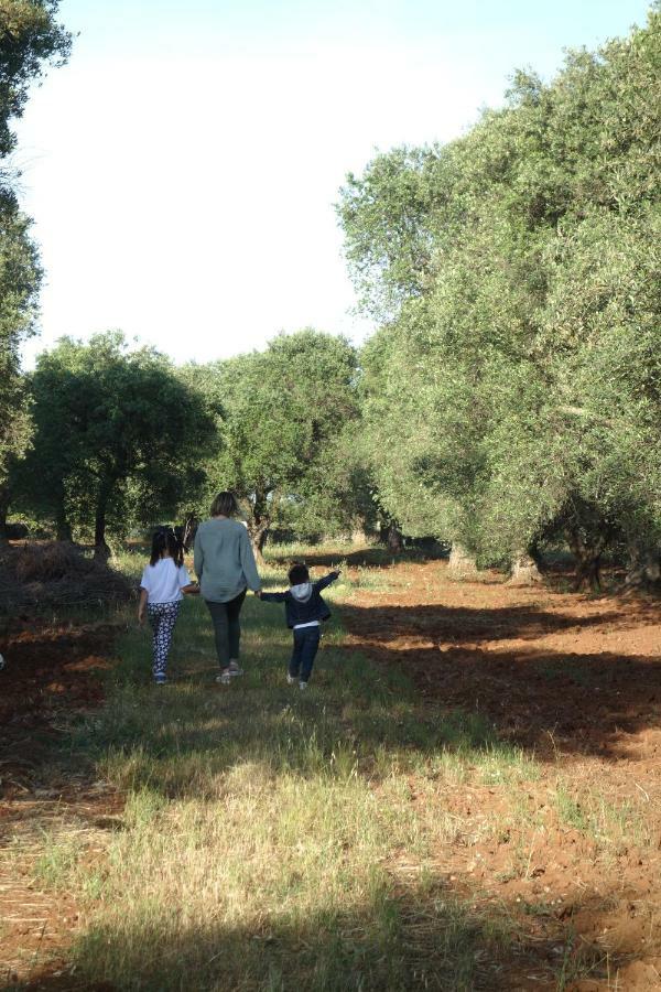 فيلا سان فيتو دي نورمانيفي Trulli Monte Madre المظهر الخارجي الصورة